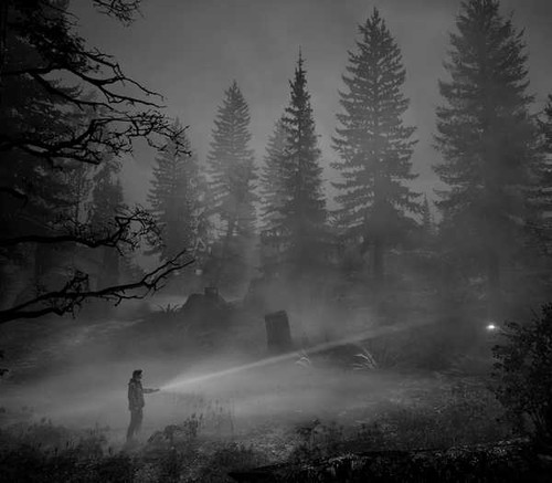Jual Poster Video Game Alan Wake 904704APC Jual Poster Video Game Alan Wake 904704APC