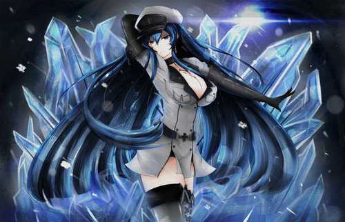 Poster Akame ga Kill! Esdeath (Akame Ga Kill!) Anime Akame ga Kill! APC002