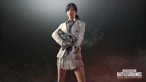 Jual Poster Video Game PlayerUnknown's Battlegrounds 860729APC