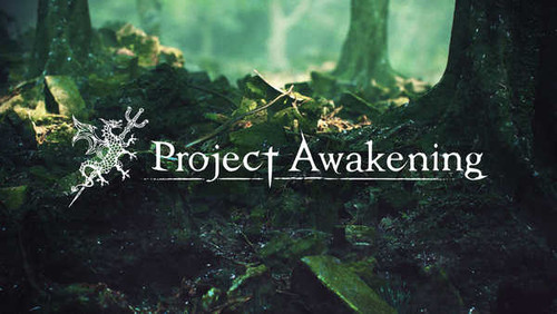 Jual Poster Video Game Project Awakening 981508APC Jual Poster Video Game Project Awakening 981508APC