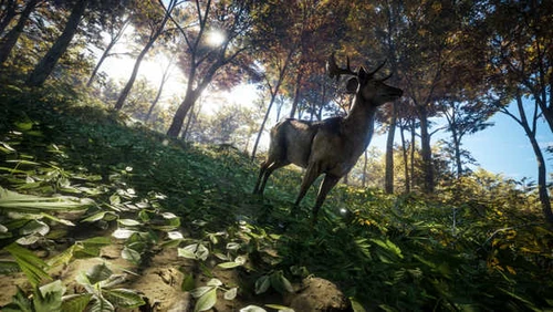 Jual Poster Video Game TheHunter Call Of The Wild 874291APC