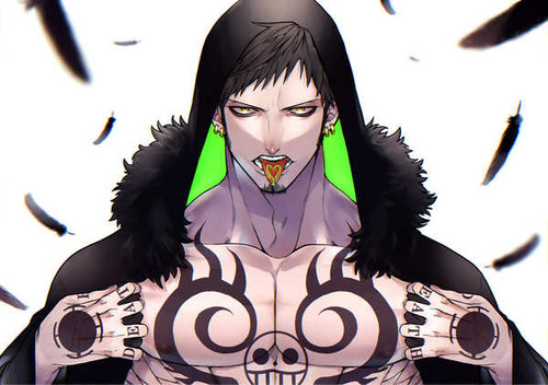 Poster Trafalgar Law One Piece One Piece APC011