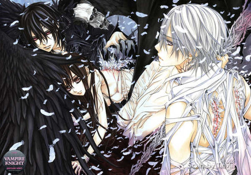 Poster Vampire Knight Anime Vampire Knight APC002