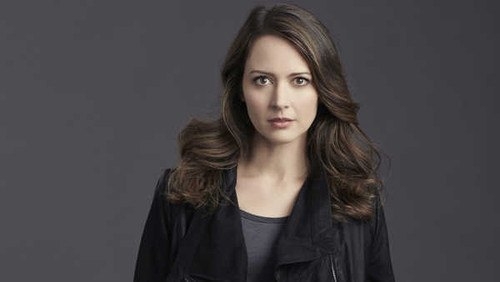 Jual Poster Amy Acker TV Show Person Of Interest APC