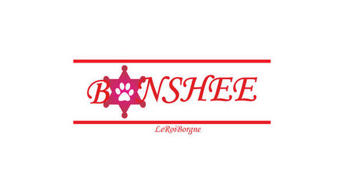 Jual Poster Banshee (TV Show) TV Show Banshee APC