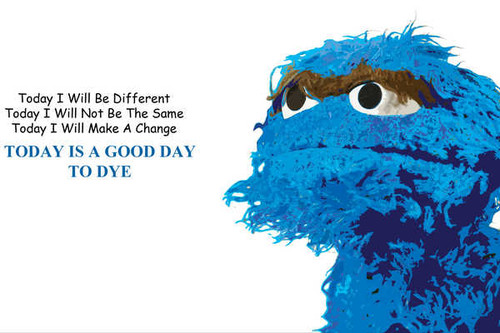 Jual Poster Cookie Monster Sesame Street Sesame Street APC