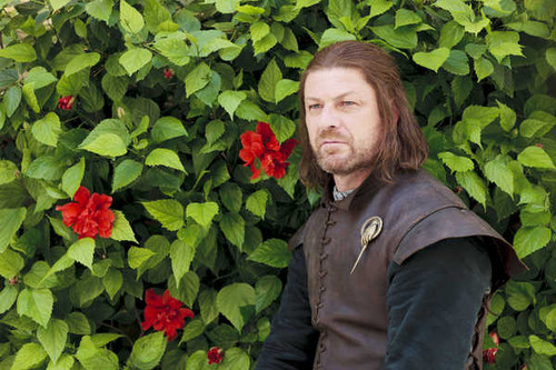 Jual Poster Eddard Stark Sean Bean TV Show Game Of Thrones APC 007