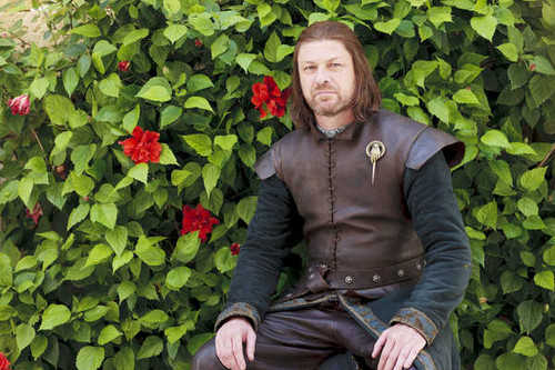 Jual Poster Eddard Stark Sean Bean TV Show Game Of Thrones APC 010