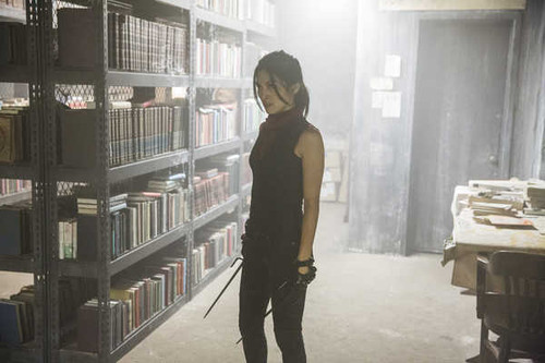 Jual Poster Elektra (Marvel Comics) TV Show Daredevil APC 007
