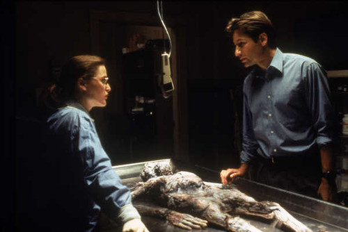 Jual Poster The X Files The X Files APC 038