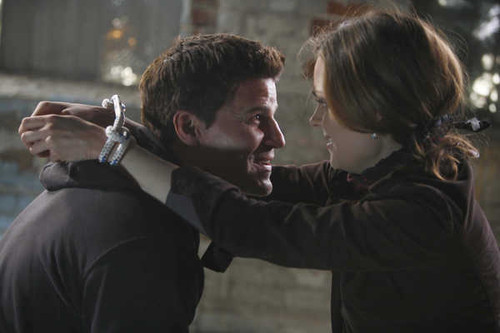 Jual Poster TV Show Bones APC 011 Jual Poster TV Show Bones APC 011