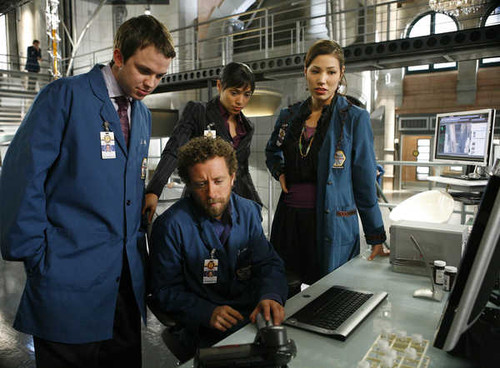 Jual Poster TV Show Bones APC 024