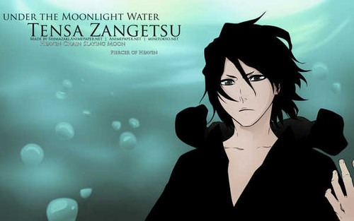 Poster Zangetsu (Bleach) Bleach Bleach APC001