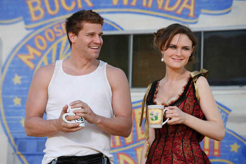 Jual Poster TV Show Bones APC 048