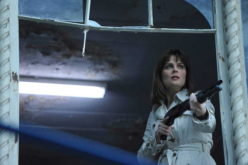 Jual Poster TV Show Bones APC 106