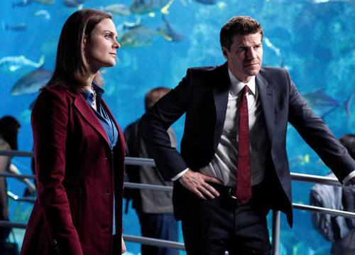 Jual Poster TV Show Bones APC 107