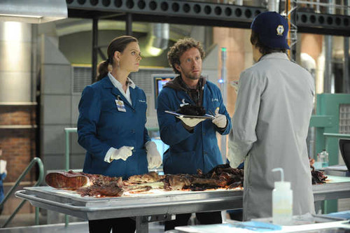 Jual Poster TV Show Bones APC 151