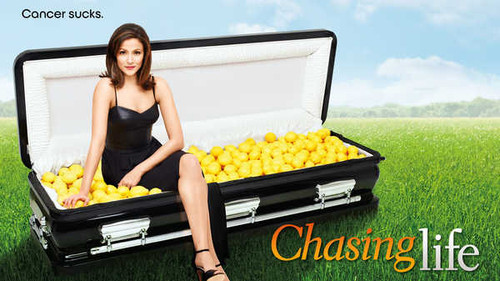 Jual Poster TV Show Chasing Life APC 002