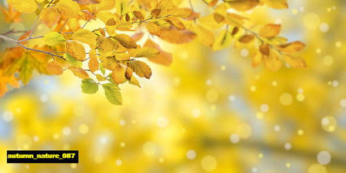 jual poster pemandangan musim gugur autumn 087