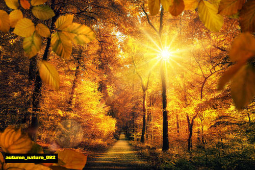 jual poster pemandangan musim gugur autumn 092