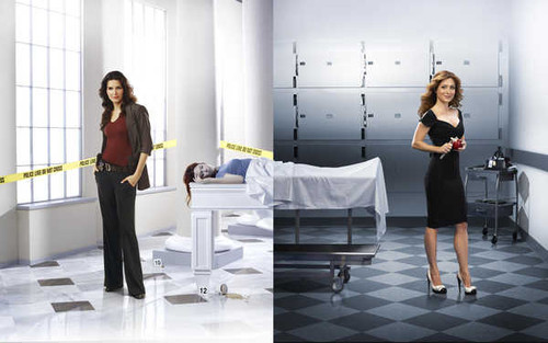 Jual Poster TV Show Rizzoli & Isles APC 013