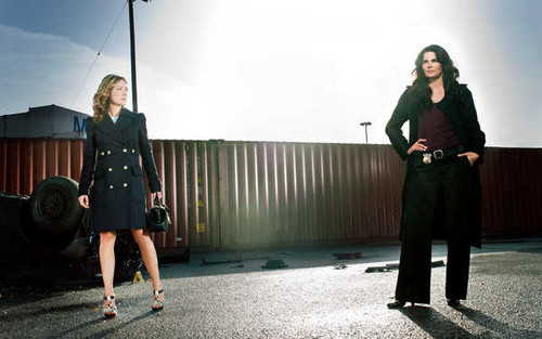 Jual Poster TV Show Rizzoli & Isles APC 014