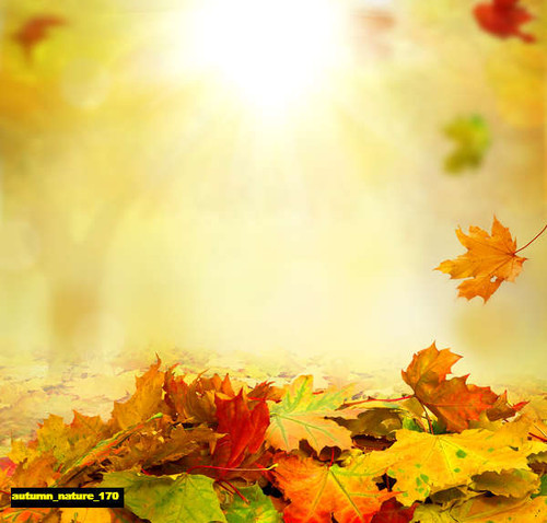 jual poster pemandangan musim gugur autumn 170