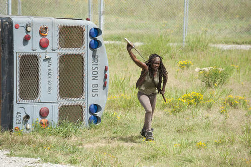 Jual Poster TV Show The Walking Dead APC 020