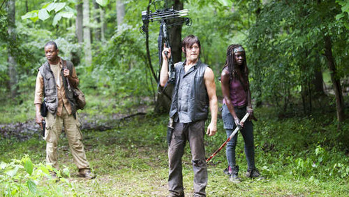 Jual Poster TV Show The Walking Dead APC 031