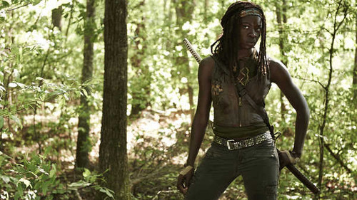 Jual Poster TV Show The Walking Dead APC 033