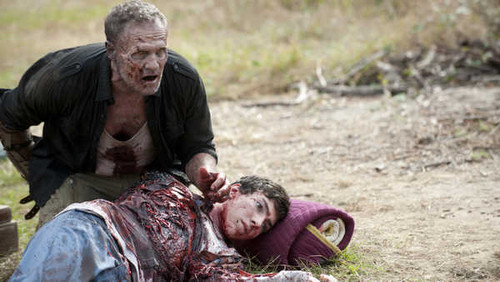 Jual Poster TV Show The Walking Dead APC 047