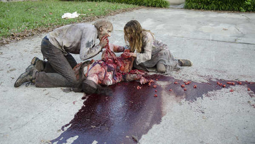 Jual Poster TV Show The Walking Dead APC 054