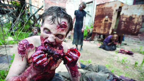 Jual Poster TV Show The Walking Dead APC 055