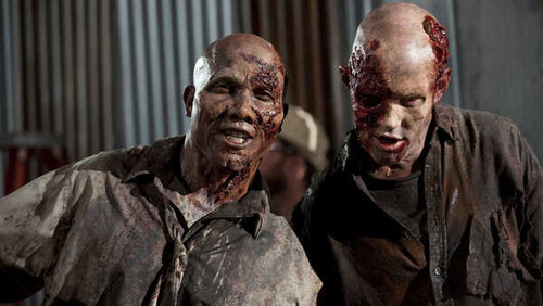 Jual Poster TV Show The Walking Dead APC 061