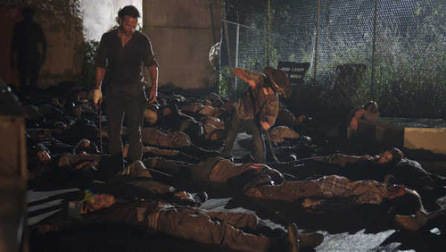 Jual Poster TV Show The Walking Dead APC 070