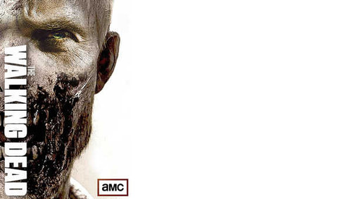 Jual Poster TV Show The Walking Dead APC 099