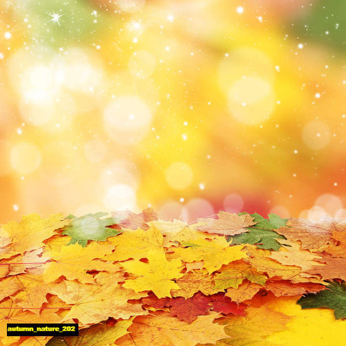 jual poster pemandangan musim gugur autumn 202