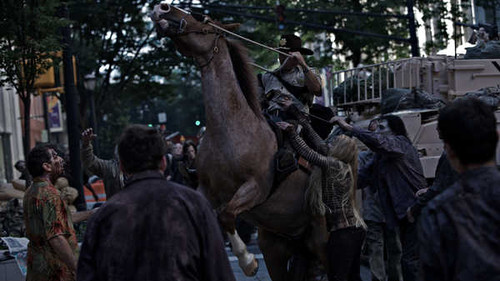 Jual Poster TV Show The Walking Dead APC 129