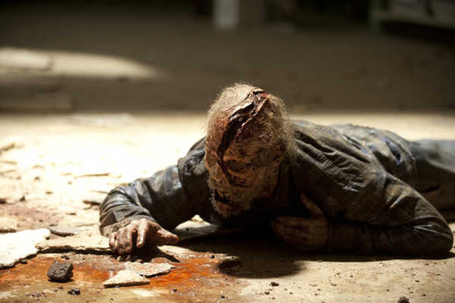 Jual Poster TV Show The Walking Dead APC 185