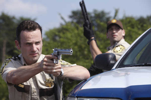 Jual Poster TV Show The Walking Dead APC 190