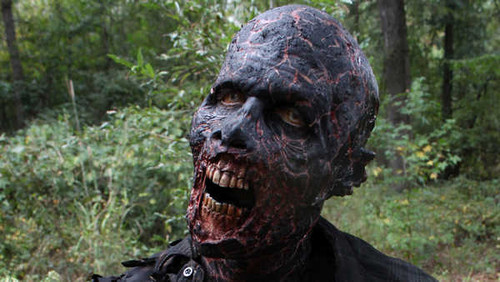 Jual Poster TV Show The Walking Dead APC 205