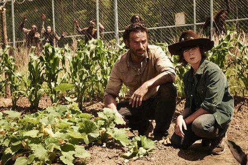 Jual Poster TV Show The Walking Dead APC 208
