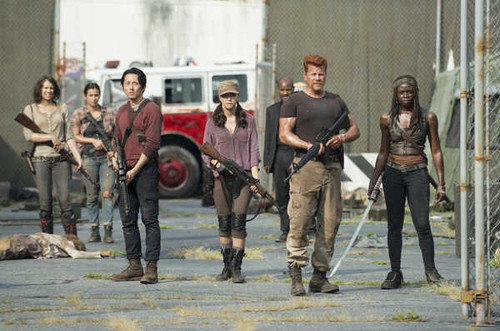 Jual Poster TV Show The Walking Dead APC 210