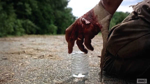 Jual Poster TV Show The Walking Dead APC 221