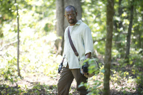 Jual Poster TV Show The Walking Dead APC 229