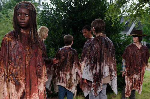 Jual Poster TV Show The Walking Dead APC 242