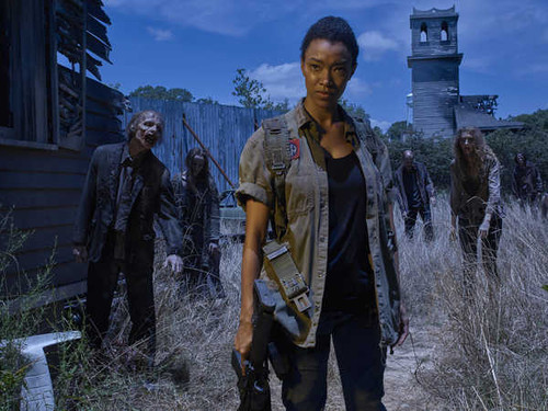 Jual Poster TV Show The Walking Dead APC 256