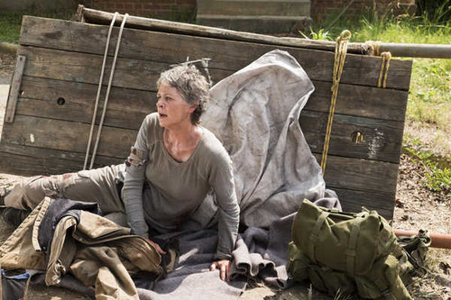 Jual Poster TV Show The Walking Dead APC 260