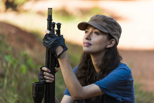 Jual Poster TV Show The Walking Dead APC 290