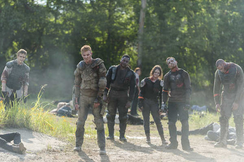 Jual Poster TV Show The Walking Dead APC 339